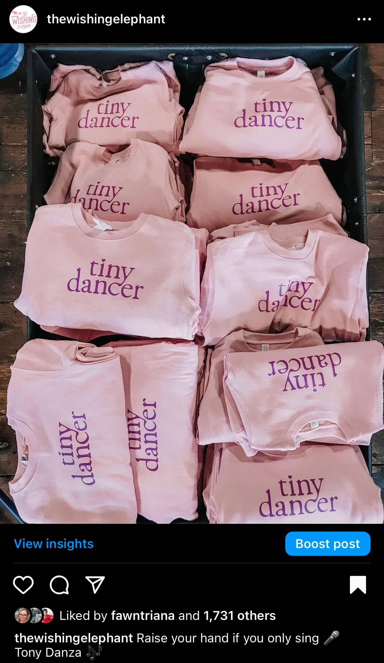 Tiny Dancer Sweatshirt