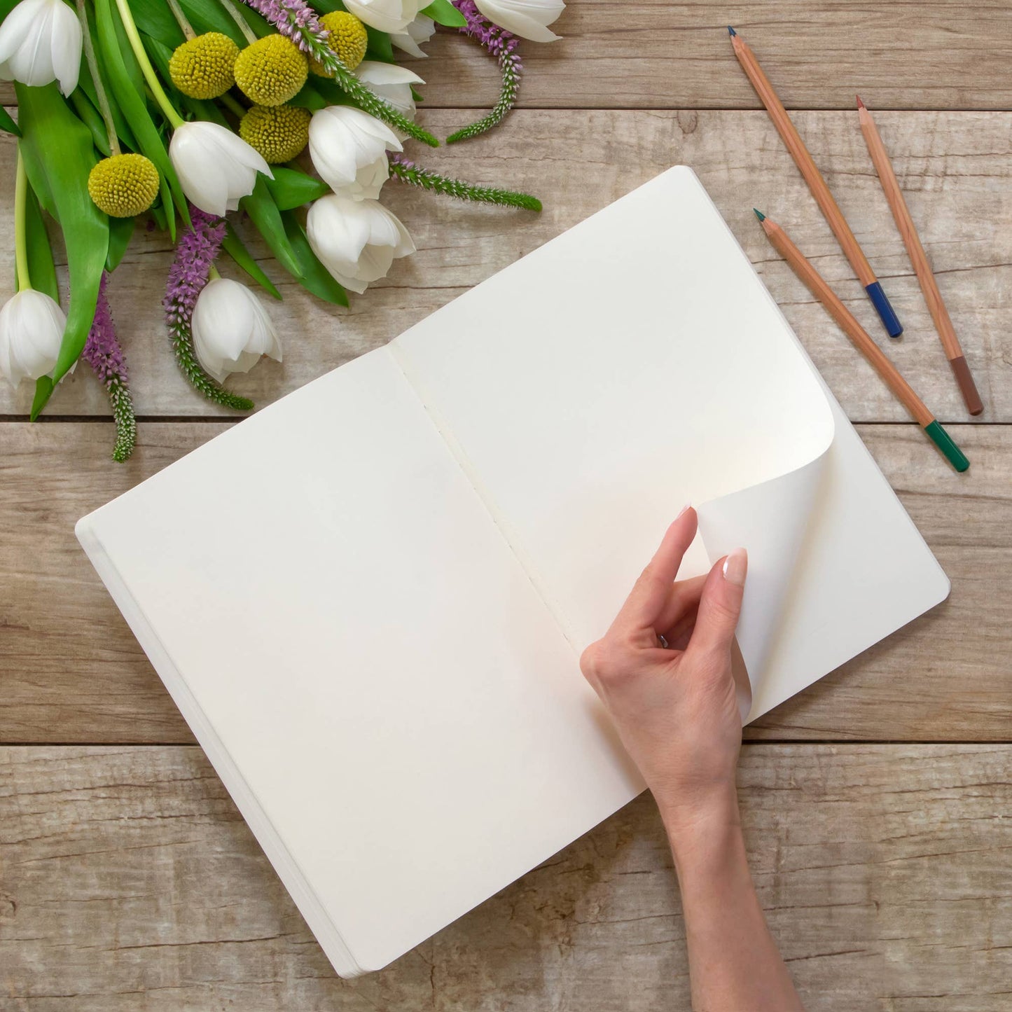 Riley Sketchbook Aegean Blue