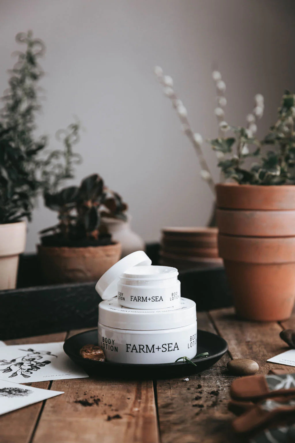 Farm + Sea Body Lotion
