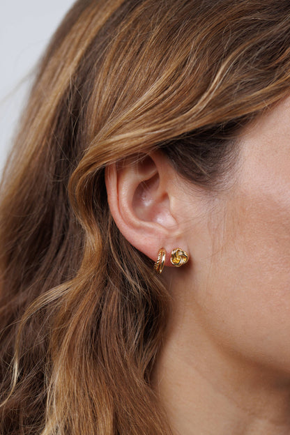 Gold Hoop - Double - Earrings