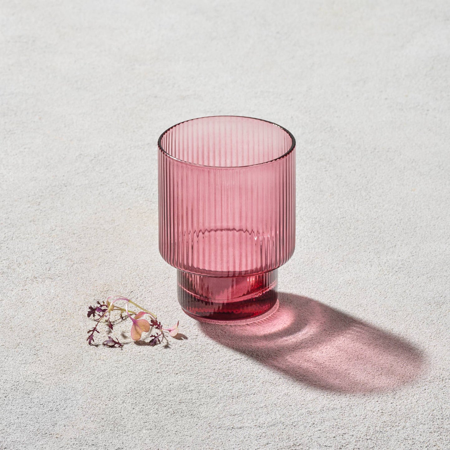 2 Pack Vikko Decor - Malibu, Ribbed Glass, Plum, 10 oz Coupe