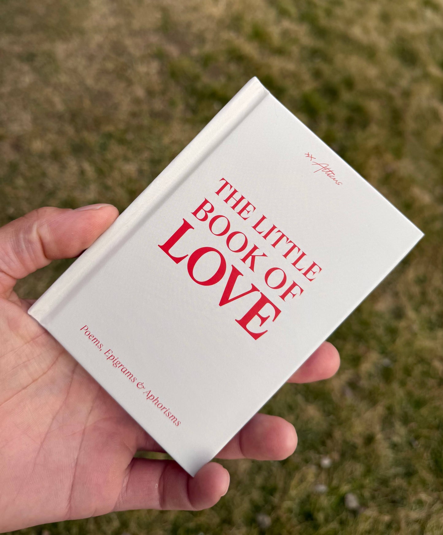 The Little Book of Love