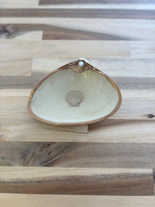 Scallop Shell Motif Jewelry Dish