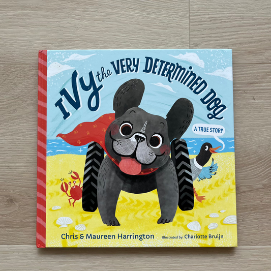 Ivy the very determined dog