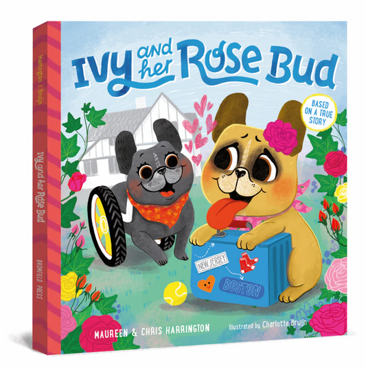 Ivy and her Rose Bud - Book