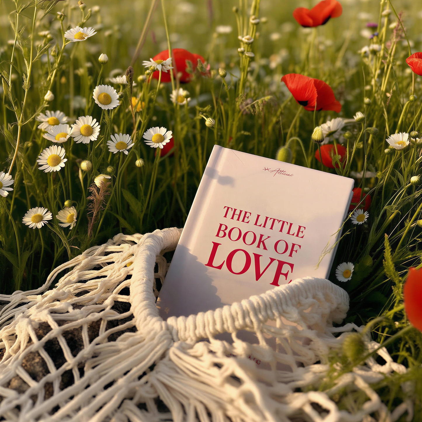 The Little Book of Love