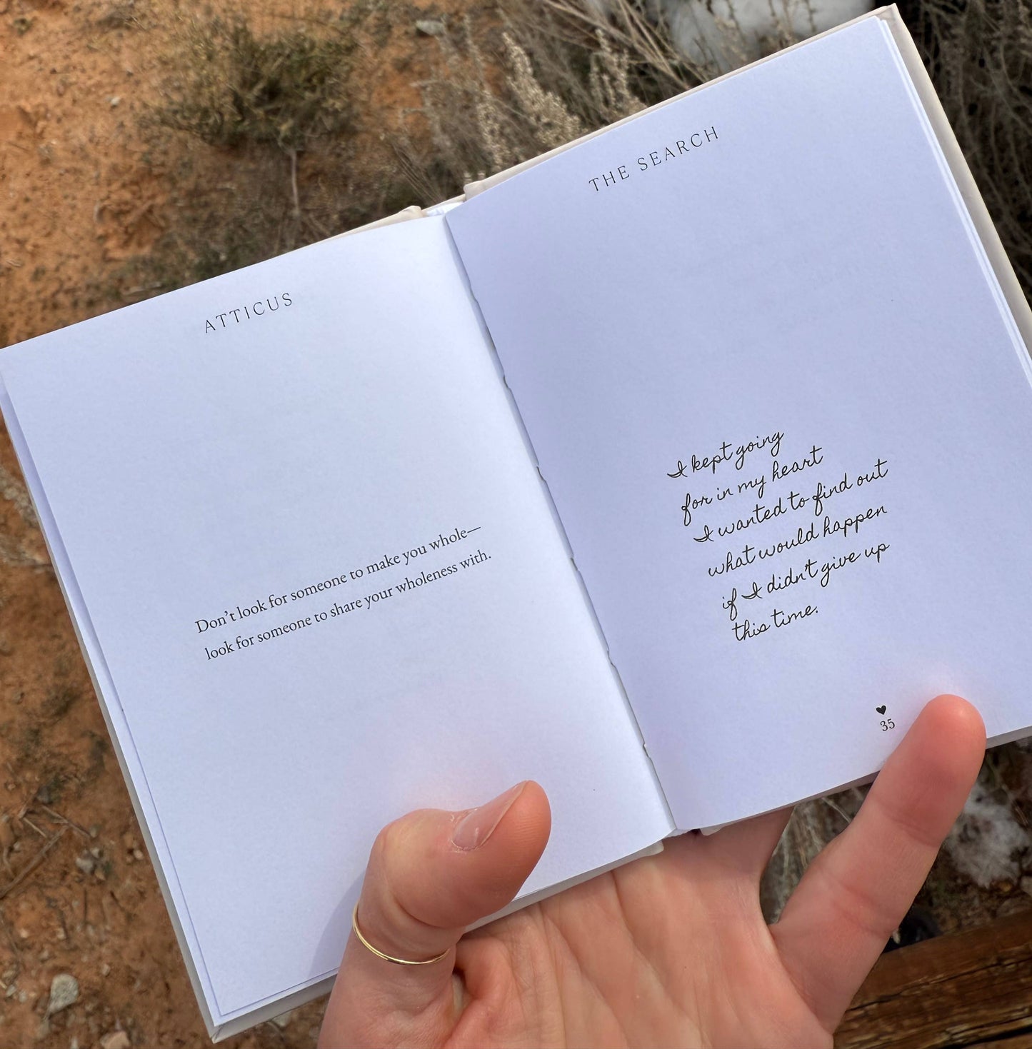 The Little Book of Love